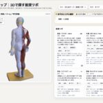 医鍼連携を加速する｜医師も使いやすい経穴ツボマップとは？